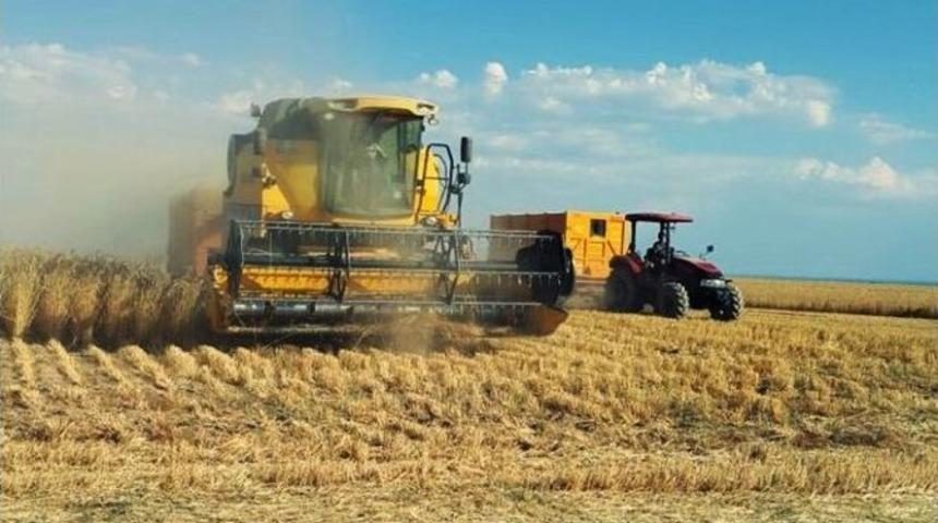 Buğday Hasadı &Ccedil;ift&ccedil;inin Y&uuml;z&uuml;n&uuml; G&uuml;ld&uuml;rd&uuml;