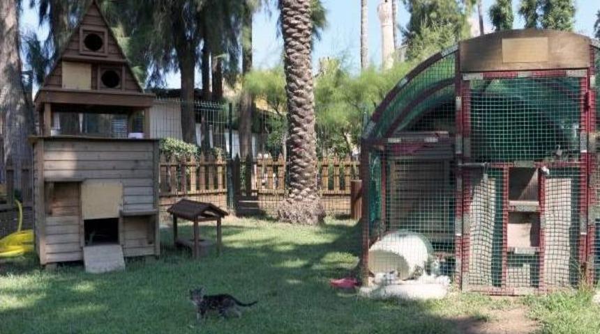 Alanya'da Kedilere &Ouml;zel Ev Ve Park
