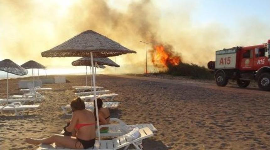 Doğal Yaşama Ateş