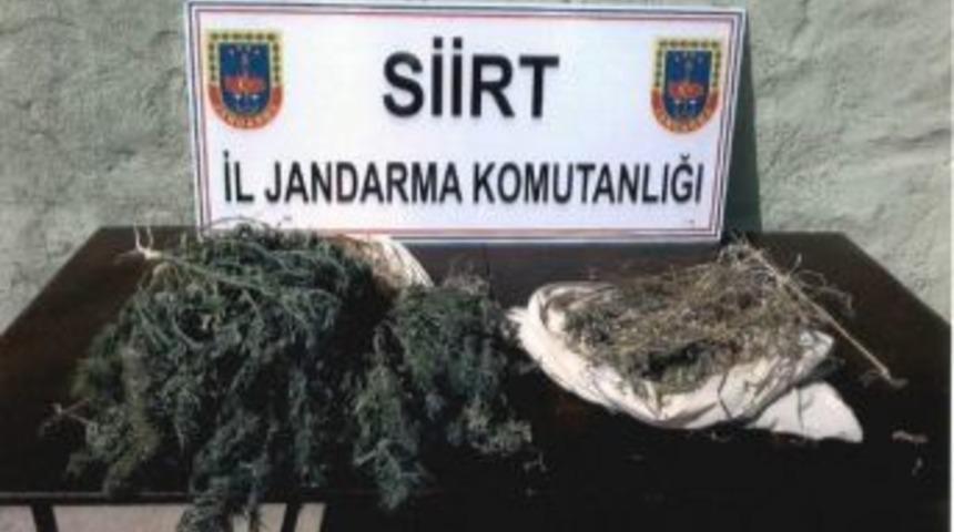 Siirt&rsquo;te Uyuşturucu Operasyonu