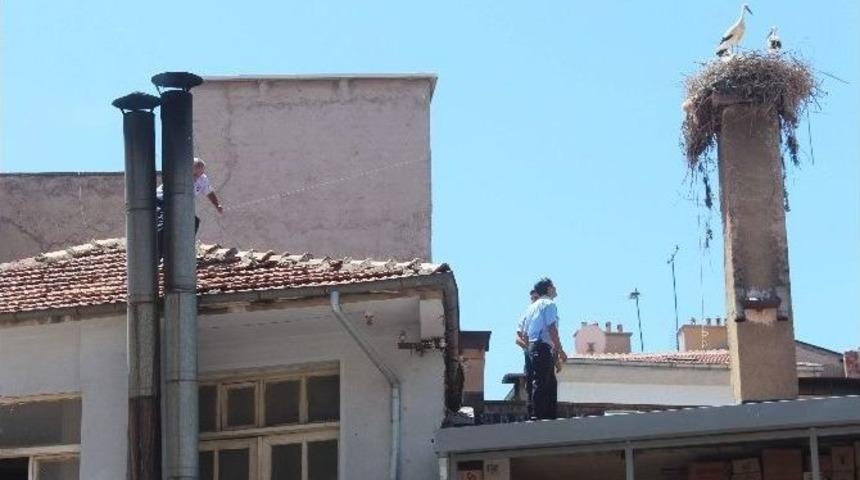 Beyşehir’de Yavru Leylek Kurtarma Operasyonu