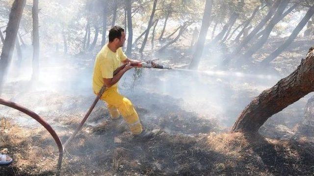 Hatay’da Orman Yangını