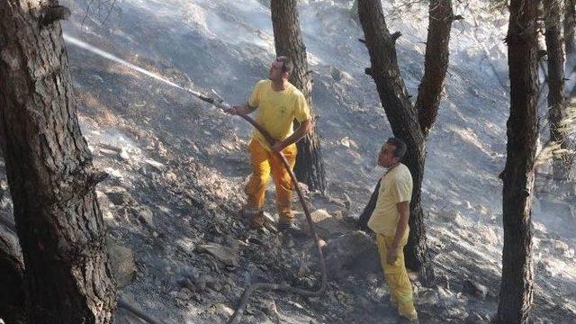 Hatay’da Orman Yangını