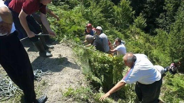 Traktörüyle 50 Metreden Uçuruma Yuvarlandı