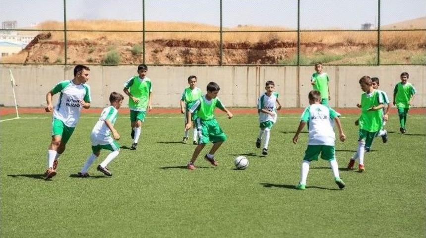 Şehitkamil&rsquo;de Yaz Spor Okulları Farkı Yeşil Sahada Devam Ediyor