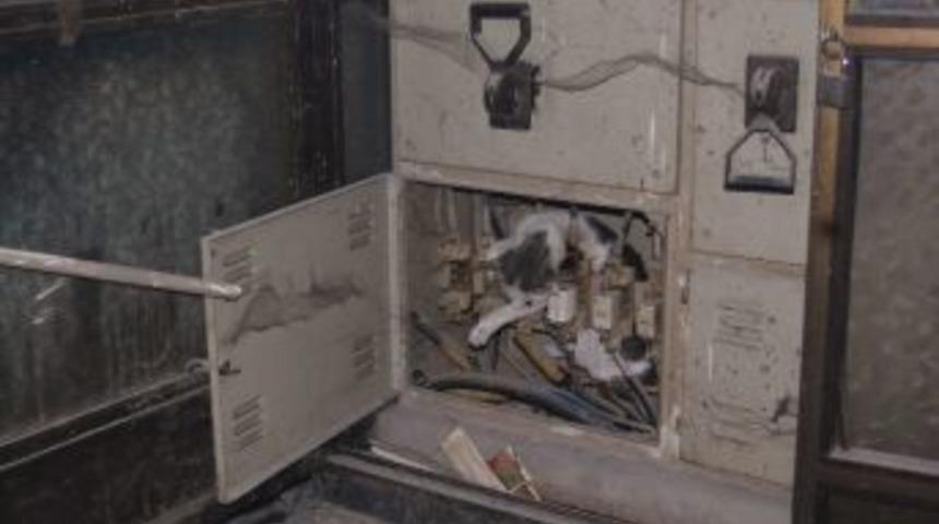 Malatya&rsquo;da Trafoya Giren Kedi Telef Oldu