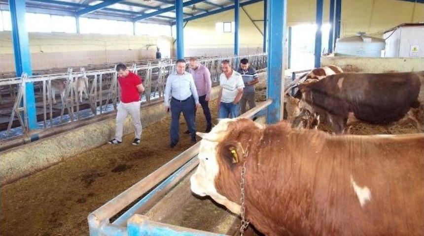 Ak Parti Yozgat Eski Milletvekili Coşkun: