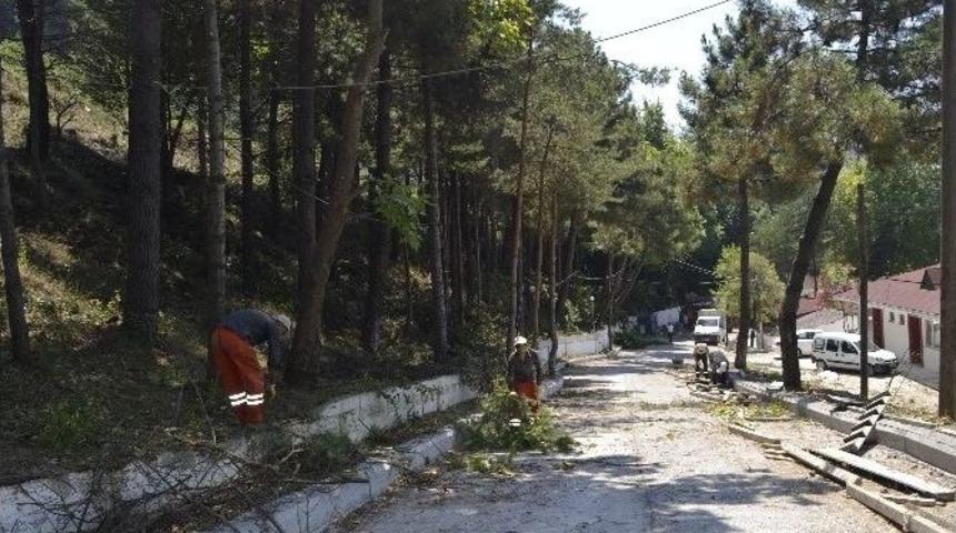 Protokol &Uuml;yeleri Plajda İncelemelerde Bulundu