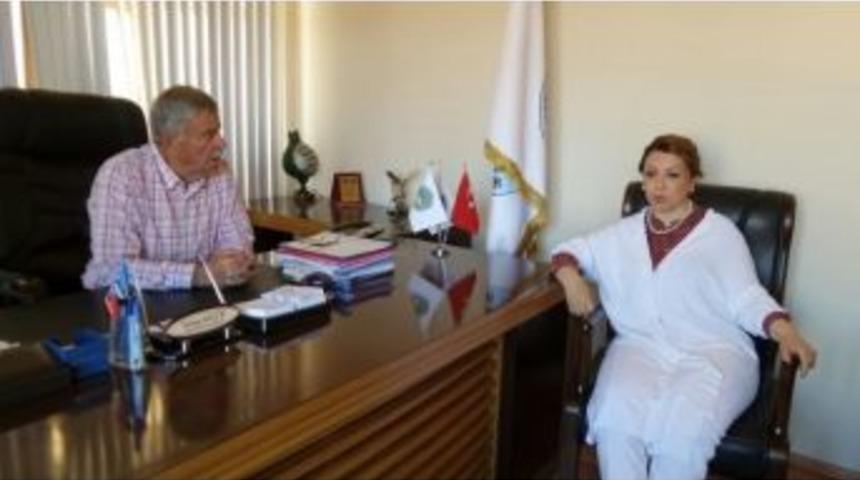 Ak Parti Genel Başkan Yardımcısı &Ccedil;alık: &ldquo;saldırılar &Uuml;lkemizin Birliğine Y&ouml;neliktir&rdquo;