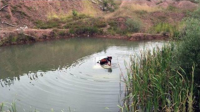 Otomobiliyle Gölete Uçan Sürücü Kendi İmkanlarıyla Kurtuldu