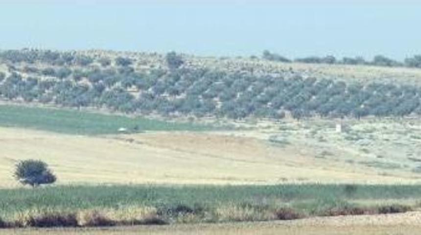 F- 16'lar Işid'e Ait 3 Hedefi Vurdu; 35 Ölü - Ek Fotoğraflar