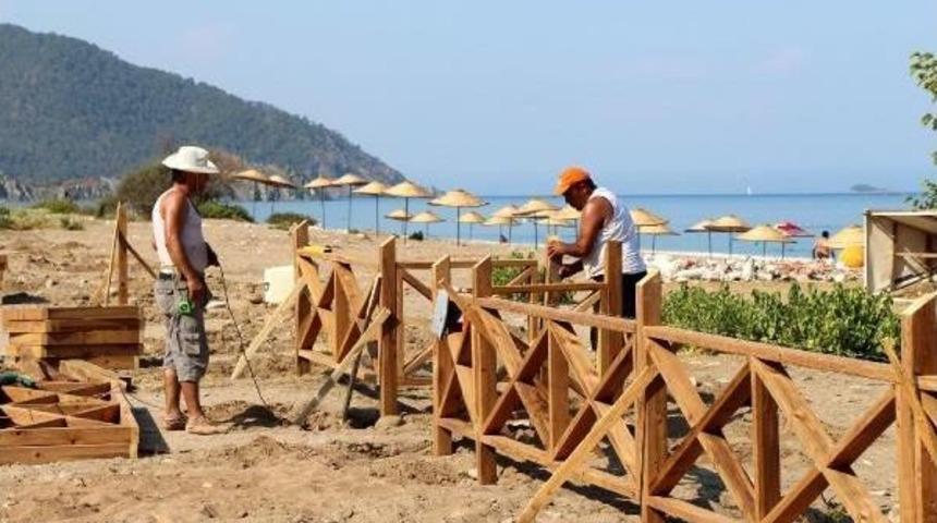 Baby Caretta Carettas To Be Protected By Wooden Hedges In Southern Province