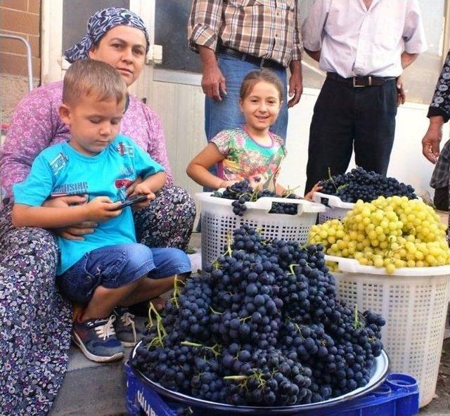 Dalından Pazara Taze Üzüm