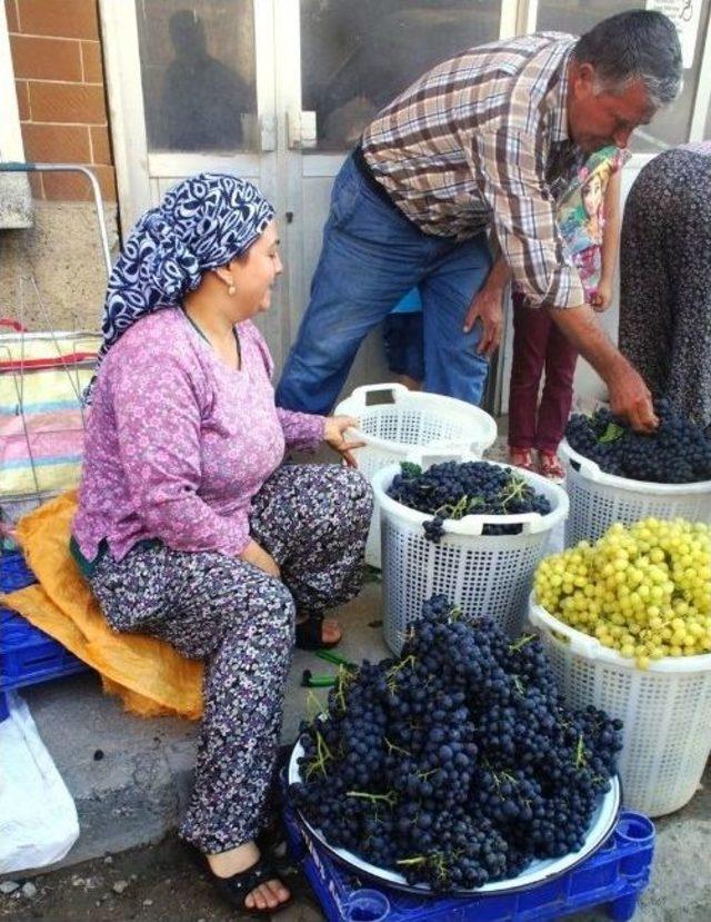 Dalından Pazara Taze Üzüm