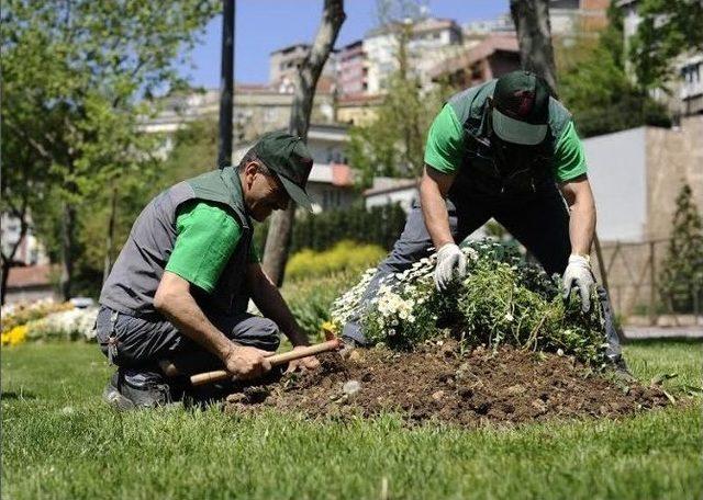 Beyoğlu Parkları Pırıl Pırıl