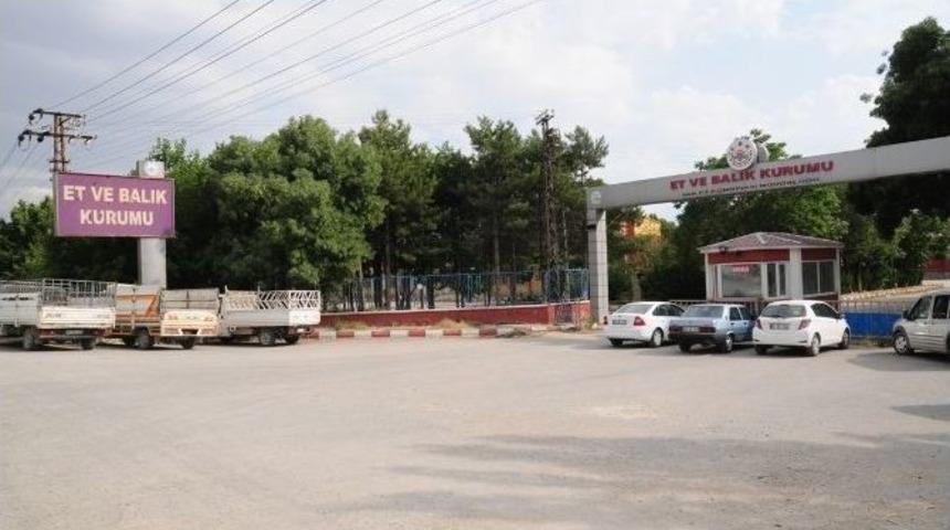 Van Et-balık Kurumu&rsquo;nun Alanı Tuşba Belediyesi&rsquo;ne Devredildi