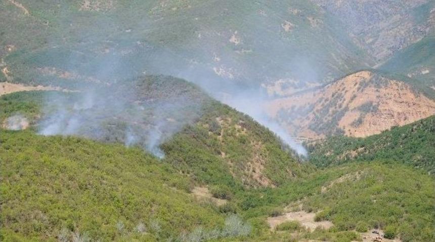 Tunceli&rsquo;de Orman Yangını
