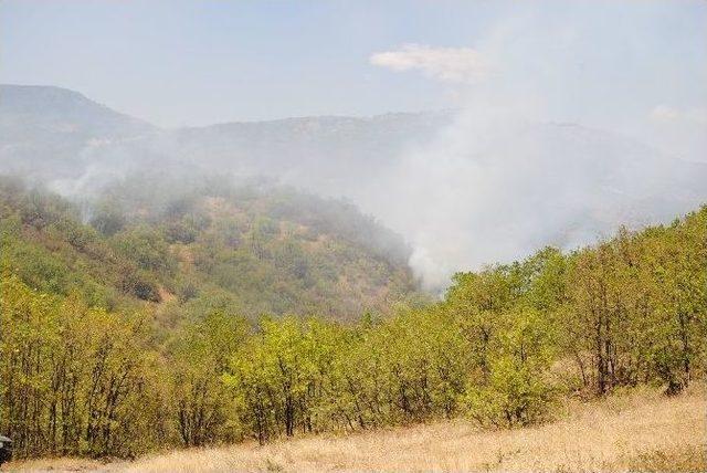 Tunceli’de Orman Yangını