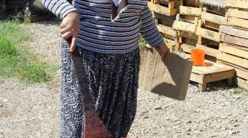 Kış Hazırlığı Bu Yıl Erken Başladı