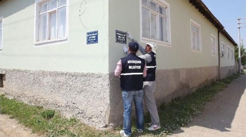 Alpu&rsquo;da Numarataj &Ccedil;alışmaları S&uuml;r&uuml;yor