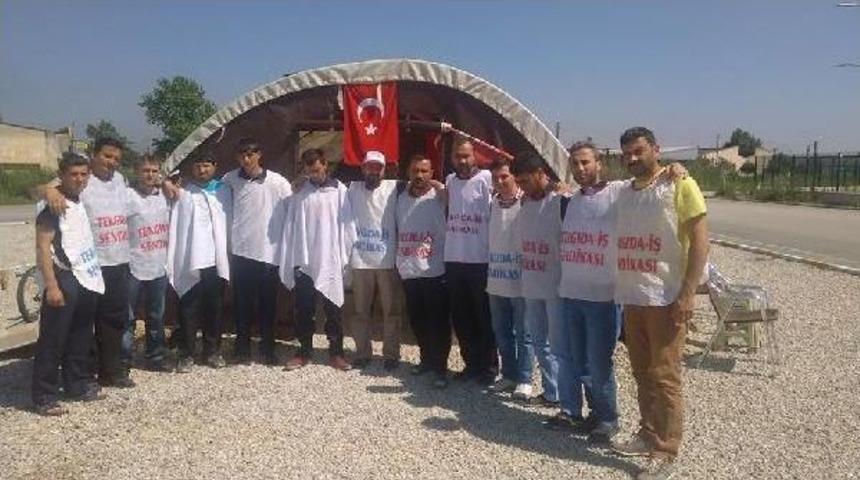 Nestle Karacabey Fabrikasında Bir Yıldır Eylem Yapan 23 Iş&ccedil;i, Işe Geri Alındı