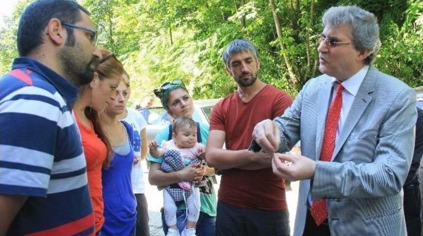 Yeşil Yol İ&ccedil;in Toplandılar