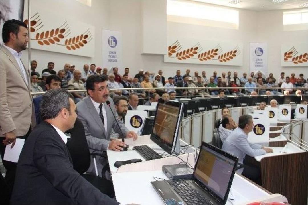 &Ccedil;orum Ticaret Borsası 2015 Yılı Hububat Sezonu A&ccedil;ıldı