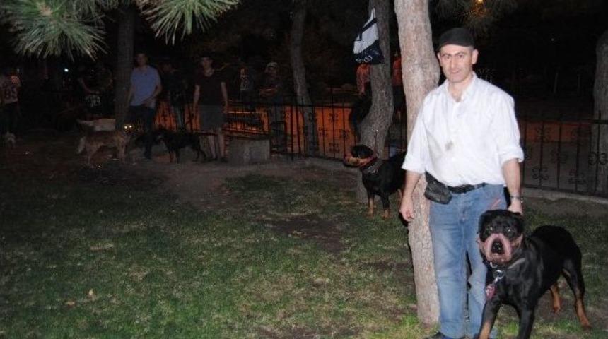 Afyonkarahisar&rsquo;da Hayvanseverler Yeşil Parkın Hayvanları İ&ccedil;in D&uuml;zenlenmesini İstedi