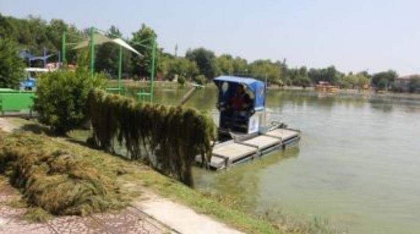 Fuardaki G&ouml;lette Yosun Temizliği Yapıldı