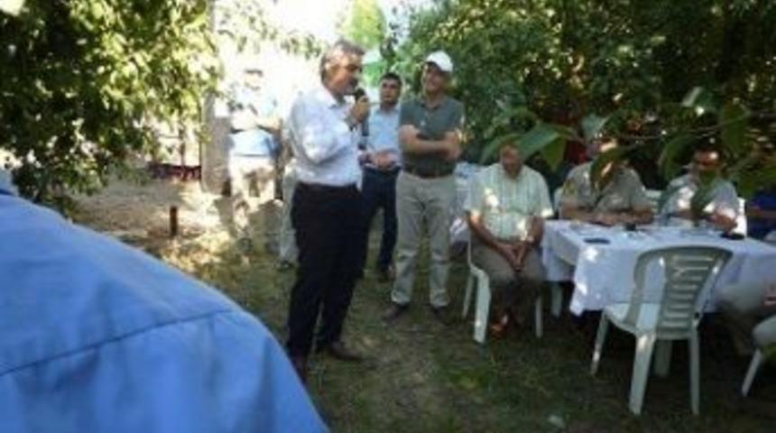 G&uuml;rsu&rsquo;da Armut Bah&ccedil;e G&uuml;n&uuml;