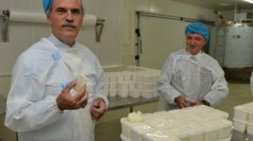 Besaş&rsquo;ın Yeni &Uuml;r&uuml;n&uuml; Beyaz Peynir