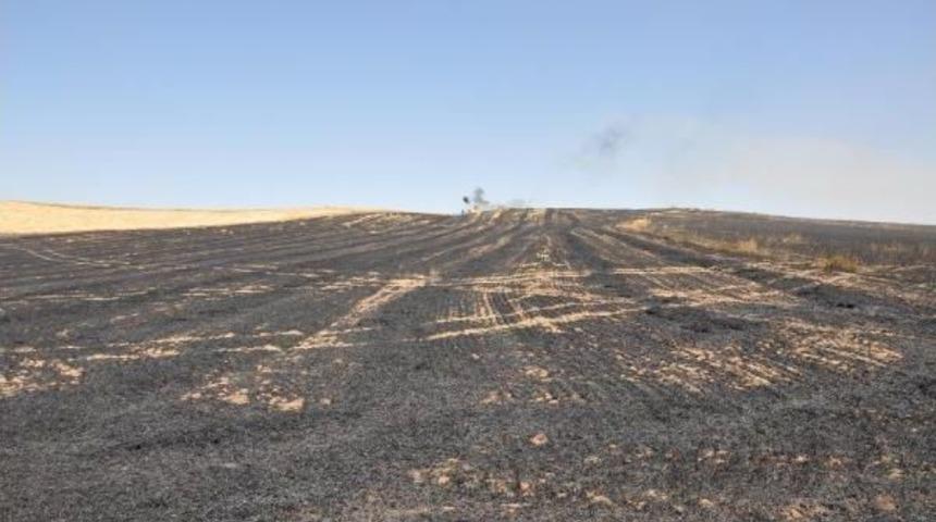 Karga Tellere &Ccedil;arptı, Bin D&ouml;n&uuml;ml&uuml;k Hububat Ekili Alan K&uuml;l Oldu