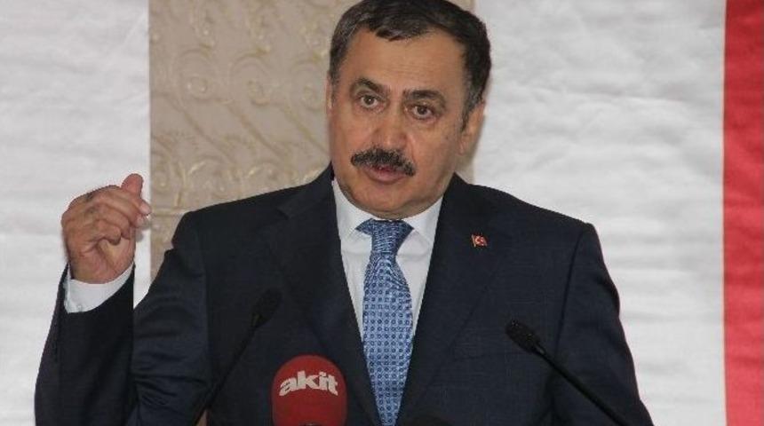 Bakan Eroğlu: "yeşil Yol"un Y&uuml;zde 80&rsquo;i Ormandan Ge&ccedil;miyor"