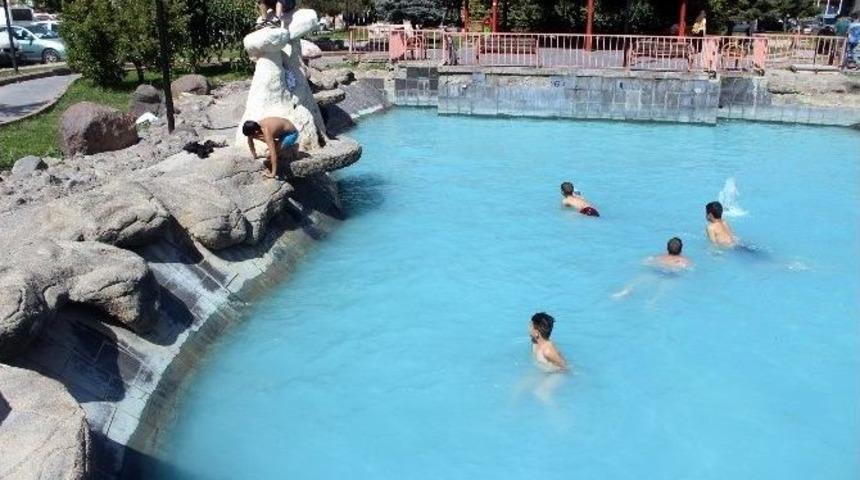 Sıcaktan Bunalanlar Kendilerini S&uuml;s Havuzuna Attı
