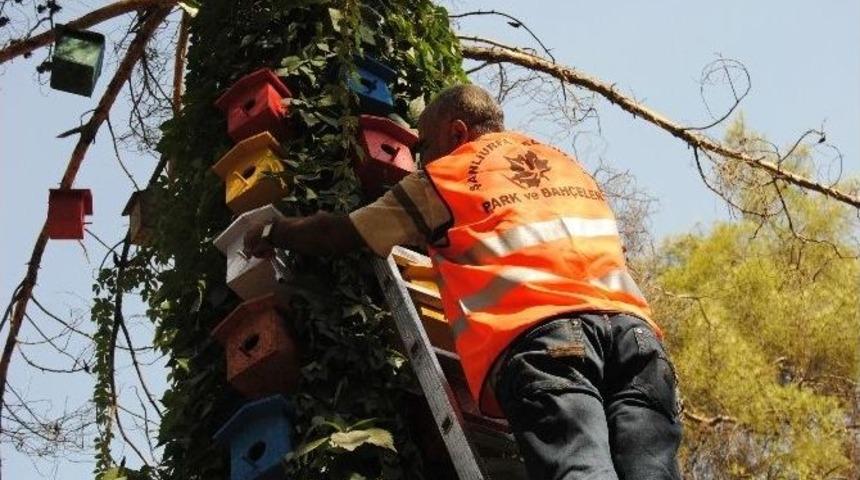 B&uuml;y&uuml;kşehir Belediyesi Doğal Alanlarda Yaşayan Kuşları Unutmadı