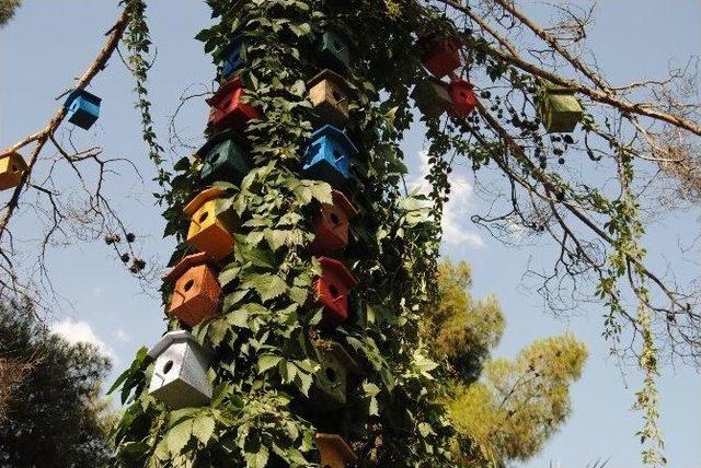 Büyükşehir Belediyesi Doğal Alanlarda Yaşayan Kuşları Unutmadı