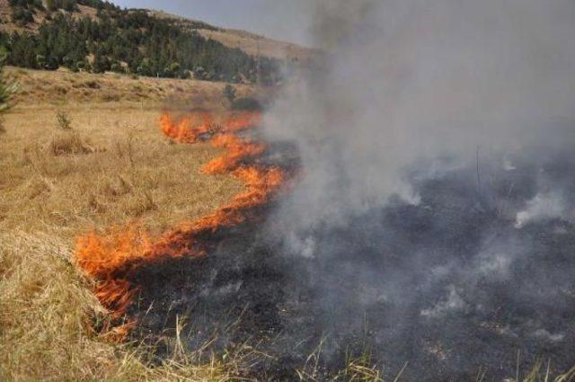 İtfaiye Yetersiz Kalınca, Yangına Toma Müdahale Etti