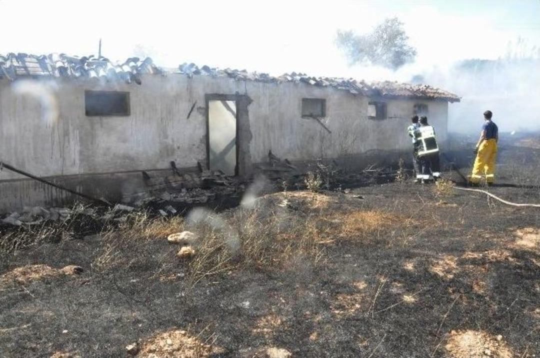 Sivas&rsquo;ta 2 Bin D&ouml;n&uuml;m Arazi Yangında K&uuml;l Oldu
