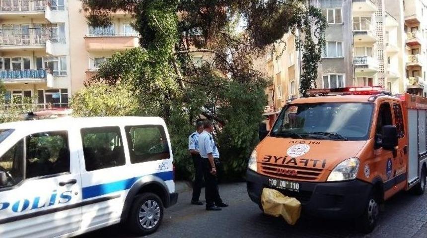 &Ccedil;am Ağacının Kırılan Dalı Altından Ge&ccedil;en Aileyi Korkuttu