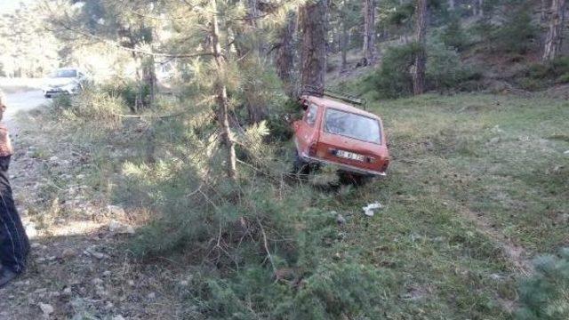 Otomobil Ağaca Çarptı: 5 Yaralı