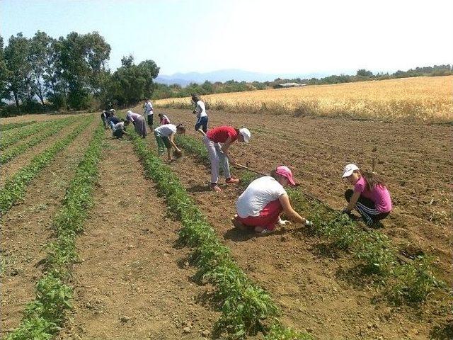 Yaz Kampından Çok Memnun Kaldılar