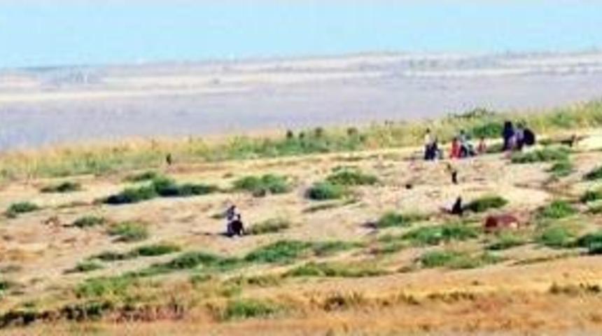 Suriyeliler Sınırda G&ouml;r&uuml;ld&uuml;, Işid'li Sanıldı