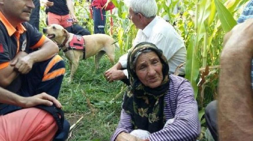 45 Saat Sonra Mısır Tarlasında Bulundu