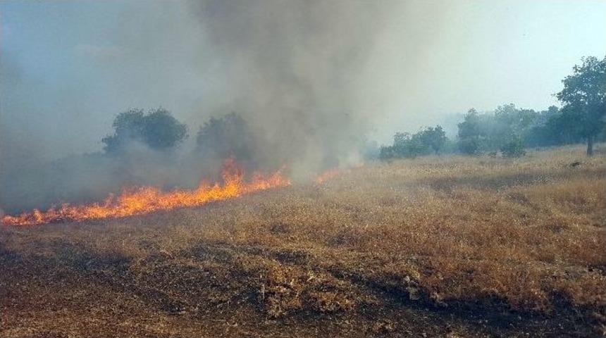 Sınırdaki Yangın Devam Ediyor