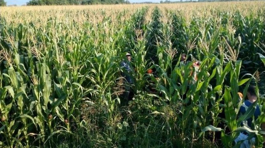 Yaşlı Kadın 2 G&uuml;n Sonra Mısır Tarlasında Bulundu