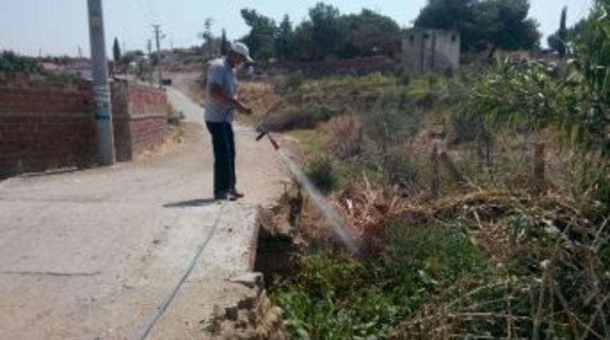 Haşereyle M&uuml;cadelede Taviz Yok