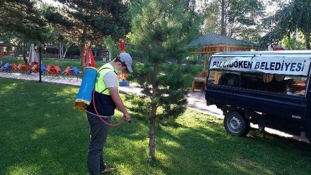 Palandöken Belediyesi Keneye Karşı Park Ve Bahçelerde İlaçlama Çalışması Yaptı…