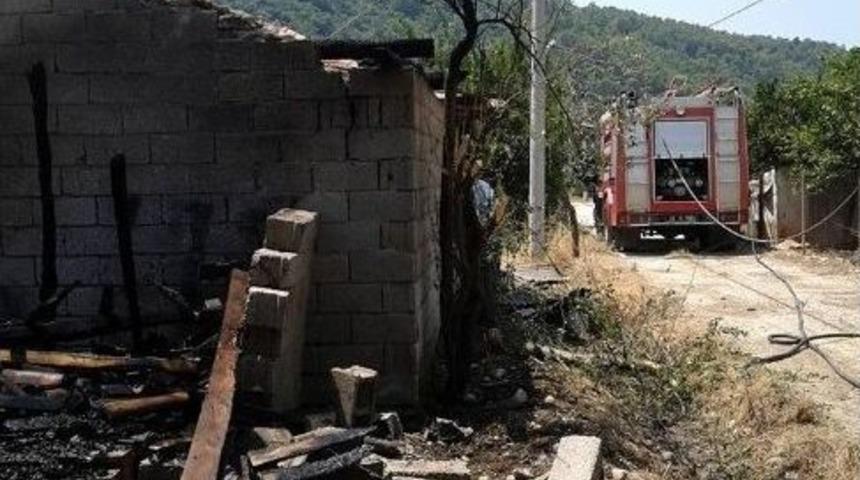 Muğla&rsquo;da Ahır Yangınında İki İnek Telef Oldu