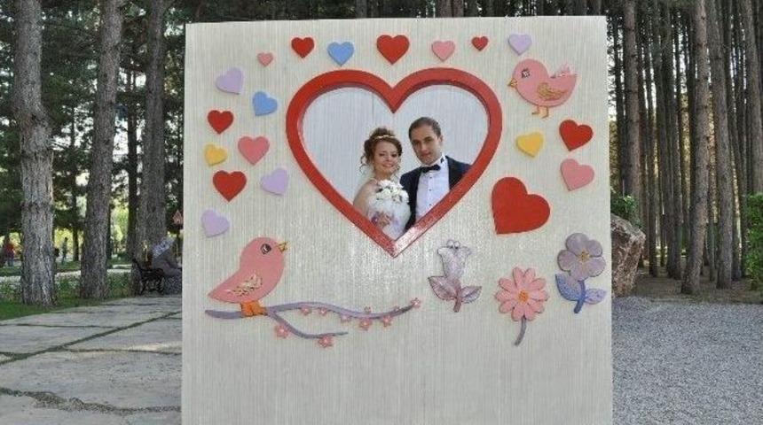 Botanik Park St&uuml;dyo Gibi