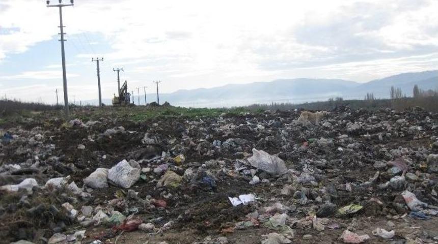 &Ccedil;&ouml;pl&uuml;kler Yeşil Alana D&ouml;n&uuml;yor